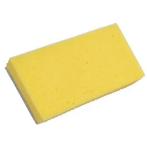 Siri Sponge - Non Cut